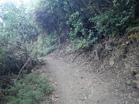 2013 Trabuco Canyon CA 112